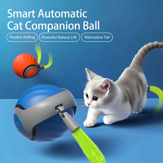 2-in-1 Smart Cat Ball with Teaser Wand - USB-C Rechargeable