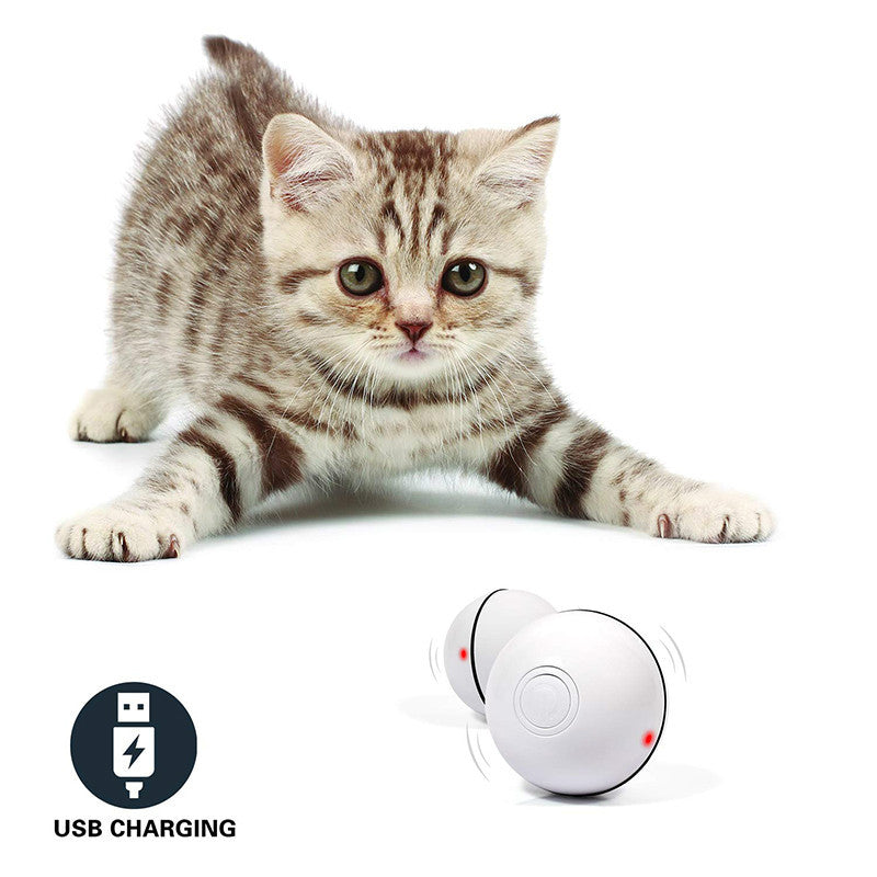LED Rolling Cat Ball - Self-Rotating Toy with Catnip and Feather